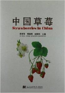 中國草莓 中國草莓