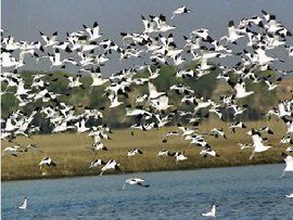 自然旅遊資源 自然旅遊資源