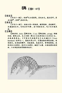 《山海經》中的獜