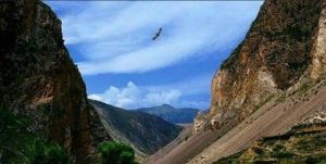 當周草地公園 當周草地公園