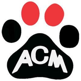 AC米蘭吧 AC米蘭吧