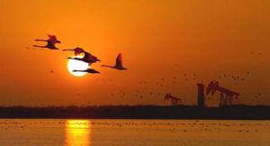 大蘆湖風景區 大蘆湖風景區