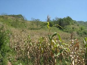 南挪莊村 南挪莊村