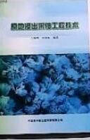 原地浸出技術 原地浸出技術