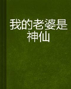 我的老婆是神仙 我的老婆是神仙