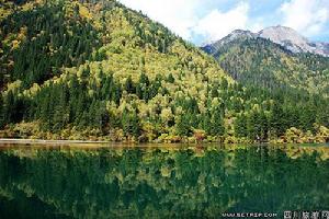 九寨溝箭竹海 九寨溝箭竹海