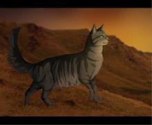 羽尾——大山之心