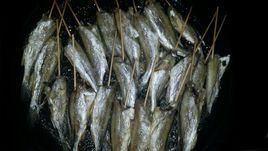 烤箱版烤黃花魚 烤箱版烤黃花魚