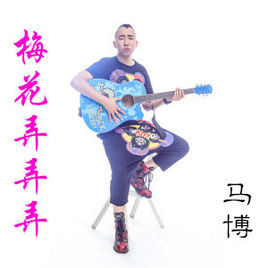 梅花弄弄弄 梅花弄弄弄