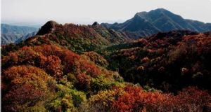 八仙桌子保護區 八仙桌子保護區