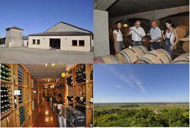 布瓦索諾酒莊 布瓦索諾酒莊