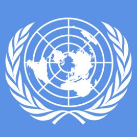 UNSC[聯合國安全理事會]