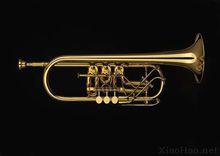 小號[銅管樂器]