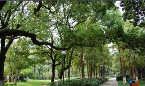 綠島公園[寧波]