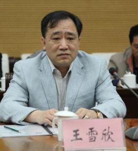王雪欣 王雪欣