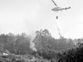 4·4韓國江原森林火災 4·4韓國江原森林火災