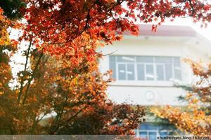 琴湖[河南科技大學論壇名]