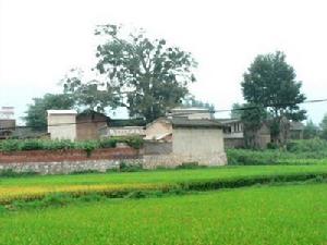 清真寺一村 清真寺一村