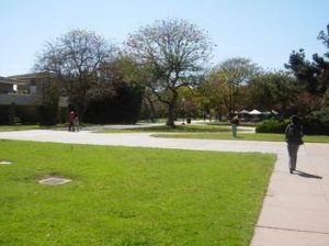 加州大學聖巴巴拉分校 加州大學聖巴巴拉分校