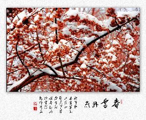 紅裝素裹 紅裝素裹