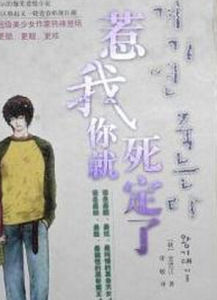 《惹我你就死定了》[金賢正所著小說]