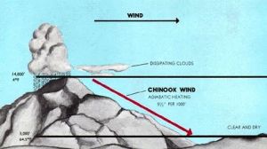 欽諾克風（英語：Chinook wind，通常簡稱Chinook），又譯為奇努克風，一般指位於北美洲西部的焚風，北美大平原及一系列的山脈都在這一地區。不過，該詞最初指的是位於太平洋西北地區熱而乾燥的海