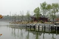 古黃河北岸風光帶 古黃河北岸風光帶