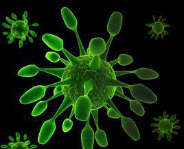 流行性感冒病毒