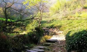 秦望山古道 秦望山古道