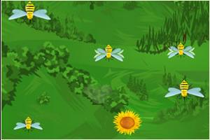 辛勞的小蜜蜂 辛勞的小蜜蜂