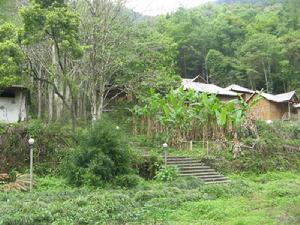 九連山國家森林公園