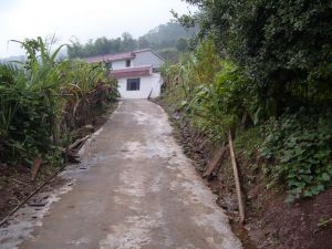 勐旺寨自然村 勐旺寨自然村