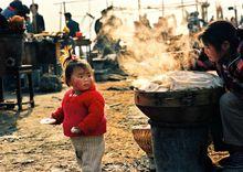 張永富[合肥市攝影家協會主席]