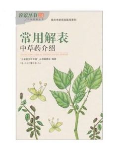 蔥白七味飲 蔥白七味飲