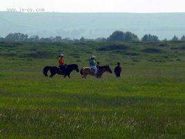 京西草原 京西草原