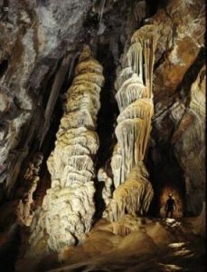 美國龍舌蘭洞 美國龍舌蘭洞