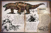 方舟：生存進化