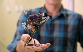 Salto[彈跳機器人]