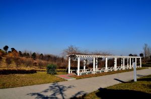 南京冶山礦山公園 南京冶山礦山公園