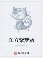 東方紫夢錄 東方紫夢錄