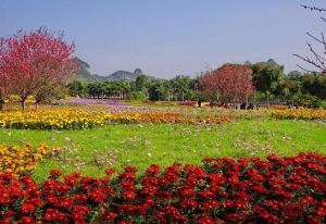 花花大世界 花花大世界