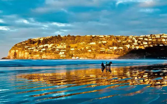 9到11月是紐西蘭的春季,萬物復甦總有新的美好等待著你