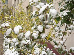 青龍滿族自治縣