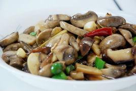 蚝油平菇 蚝油平菇