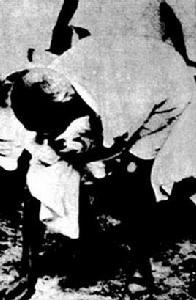 食鹽進軍 食鹽進軍