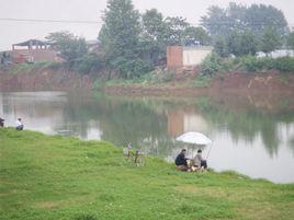 王集鎮[河南省新野縣王集鎮]