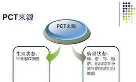 降鈣素原 降鈣素原