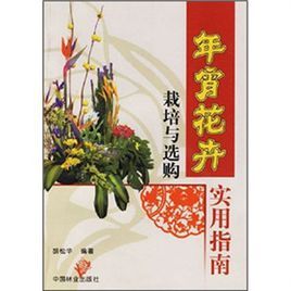 年宵花卉 年宵花卉