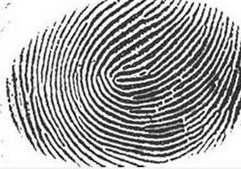 指紋鑑定 指紋鑑定