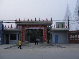 洪湖市第三中學 洪湖市第三中學